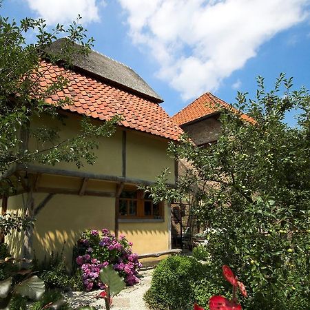 B&B Tspijker Mol Dış mekan fotoğraf