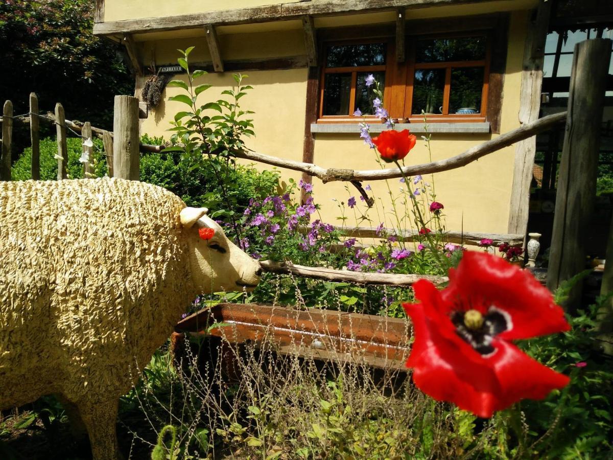 B&B Tspijker Mol Dış mekan fotoğraf