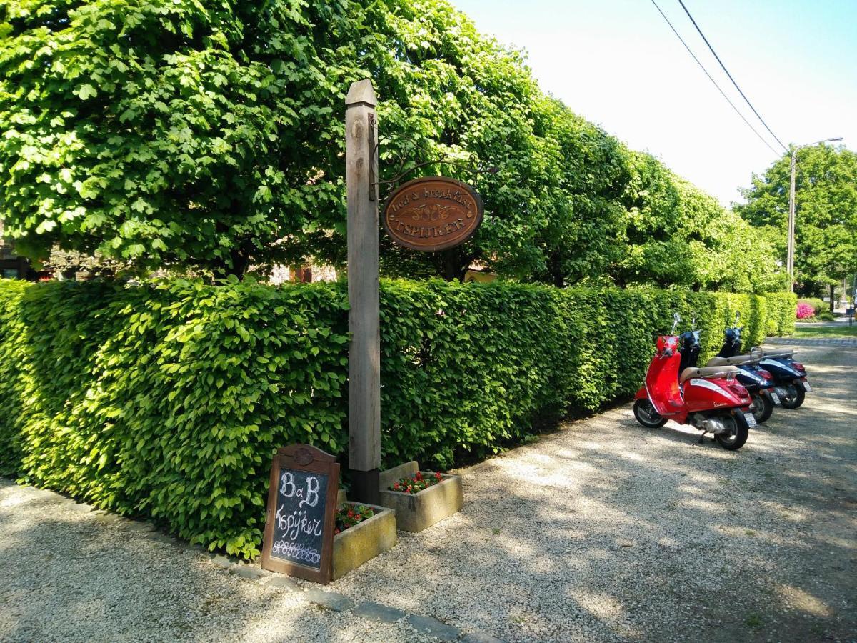 B&B Tspijker Mol Dış mekan fotoğraf